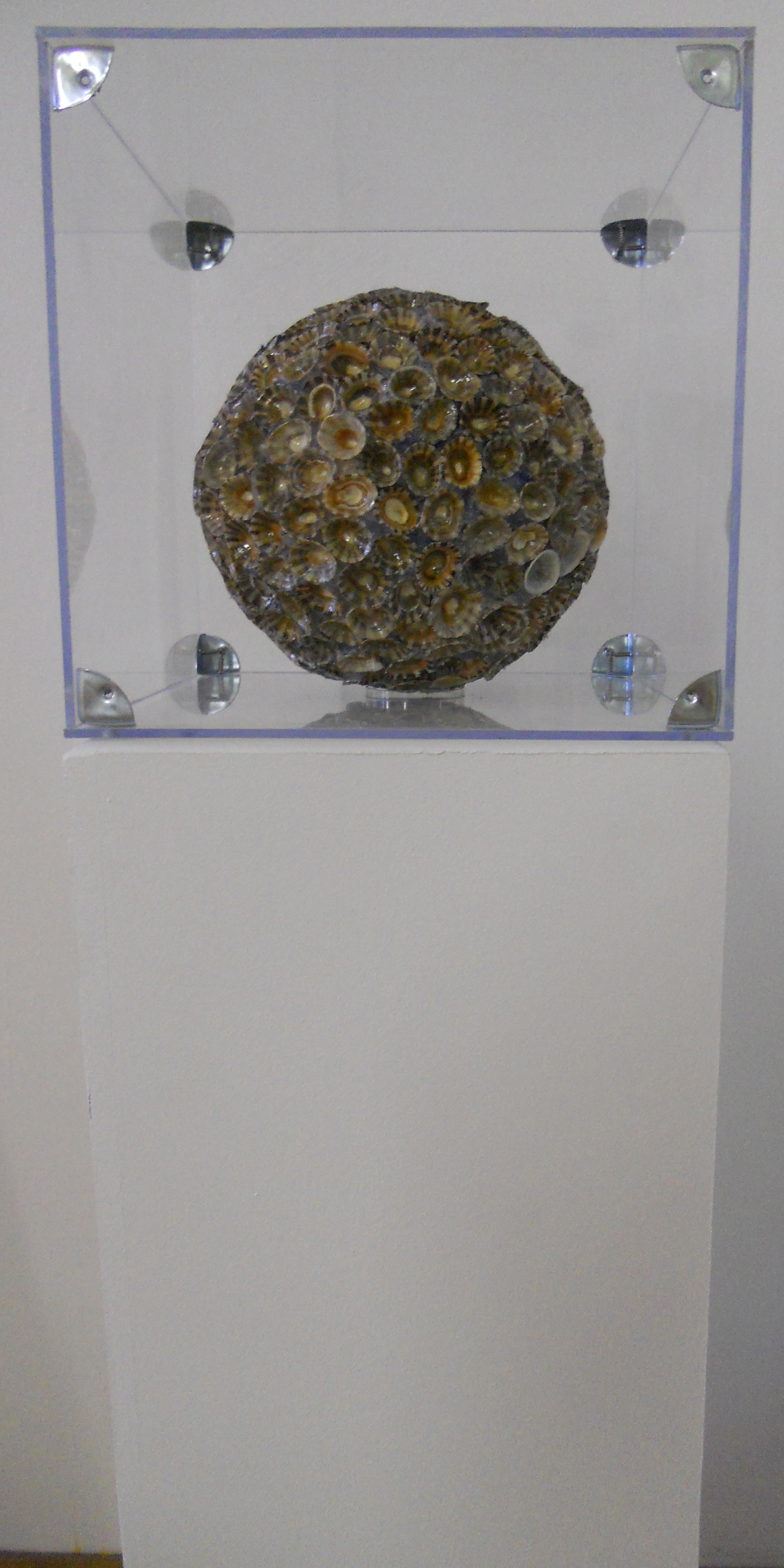 MW 14 (Hohe Aufl&ouml;sung)